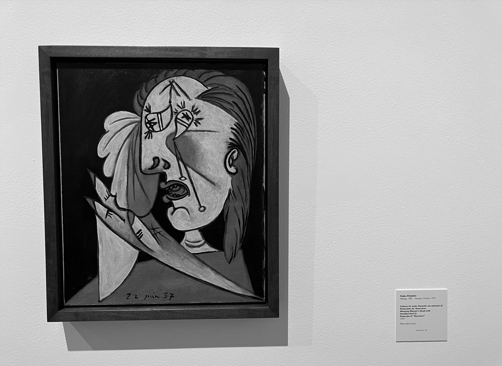 Picasso Madrid