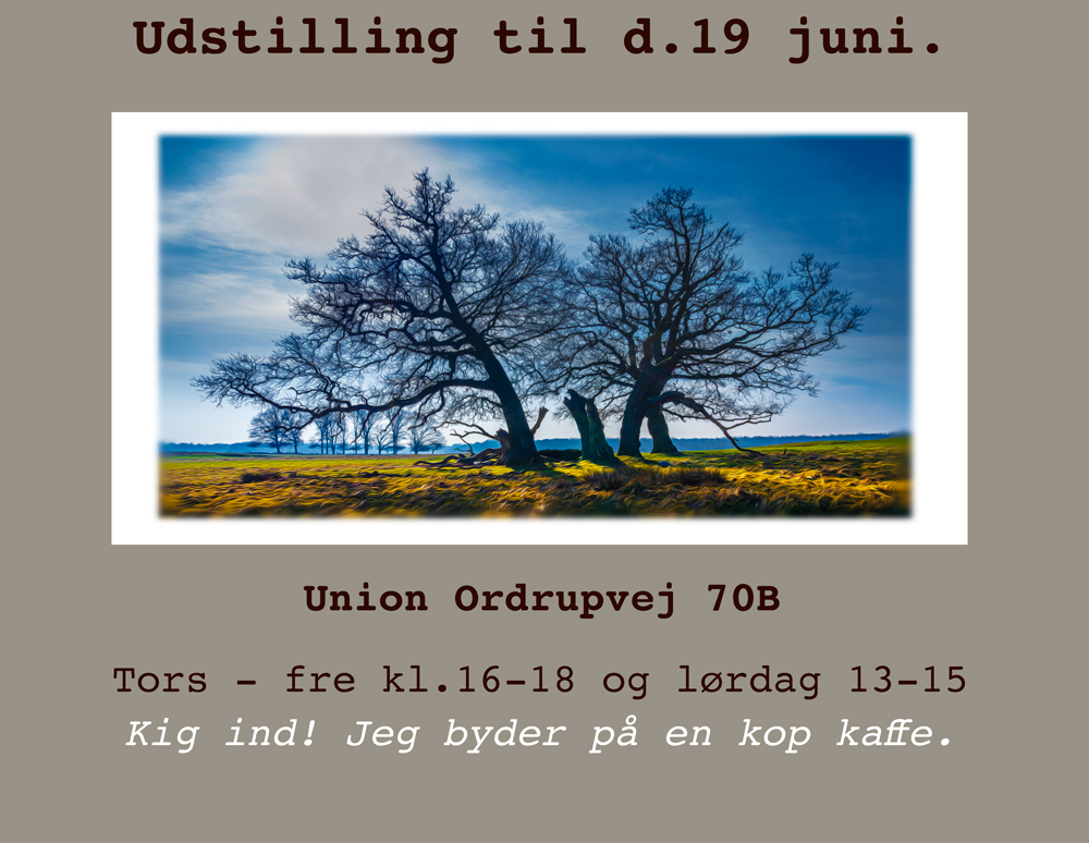 Dyrehaven